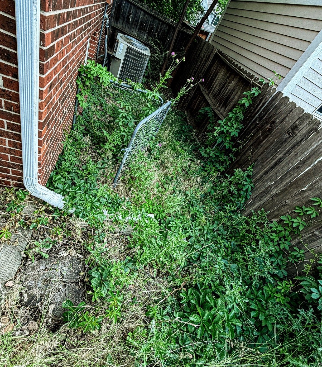 Before: overgrown side yard near fence and AC unit